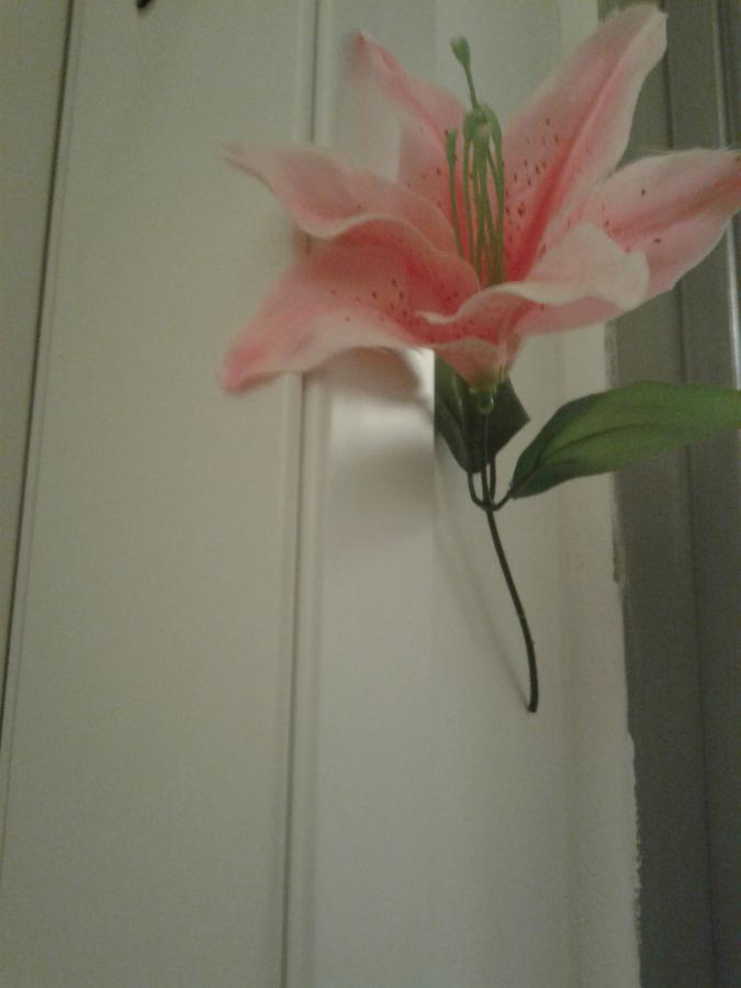 Bed & Breakfast B&B Solidale Il Giglio